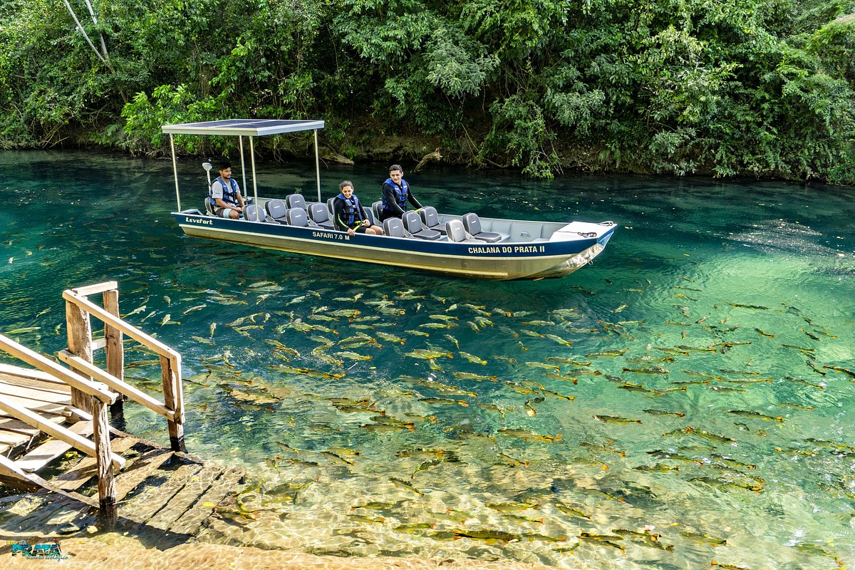 2. Bonito + Rio da Prata